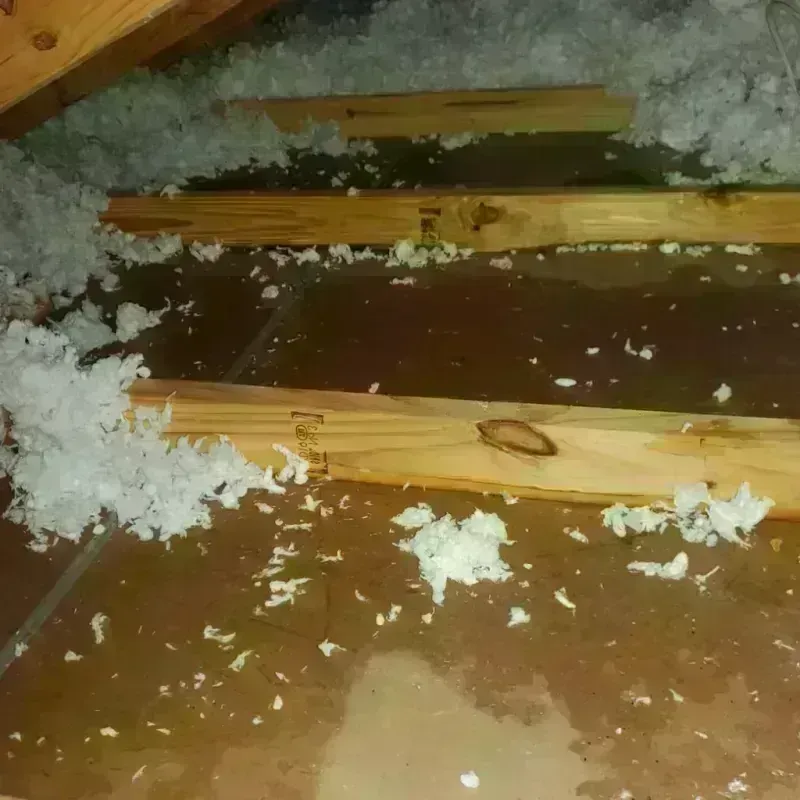 Attic Water Damage in Pelham, NH